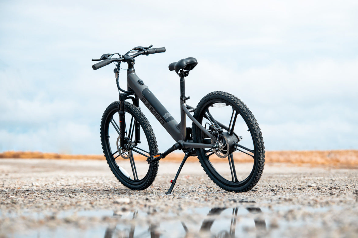 Rambo Electric Bikes Kid's 24" Chameleon