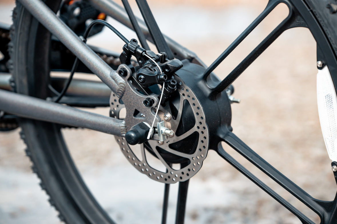 Rambo Electric Bikes Kid's 24" Chameleon