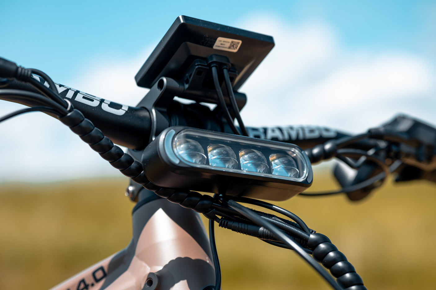 Rambo Electric Bikes Megatron 4.0