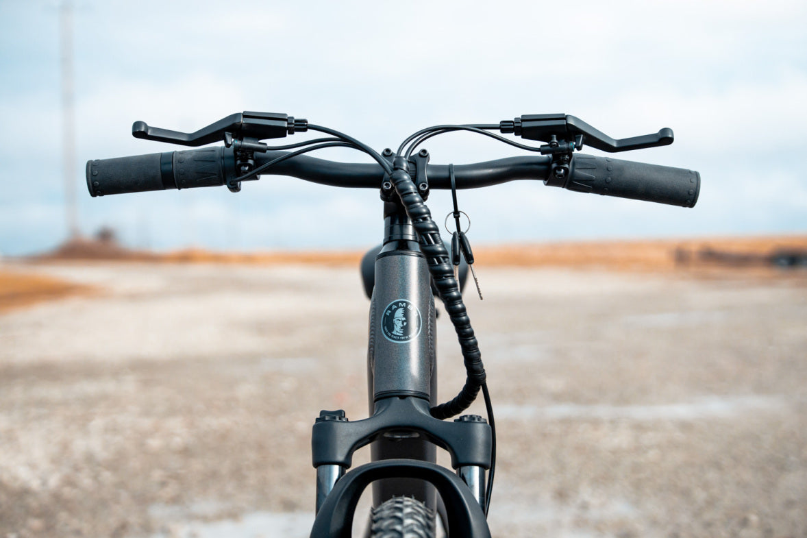 Rambo Electric Bikes Kid's 24" Chameleon