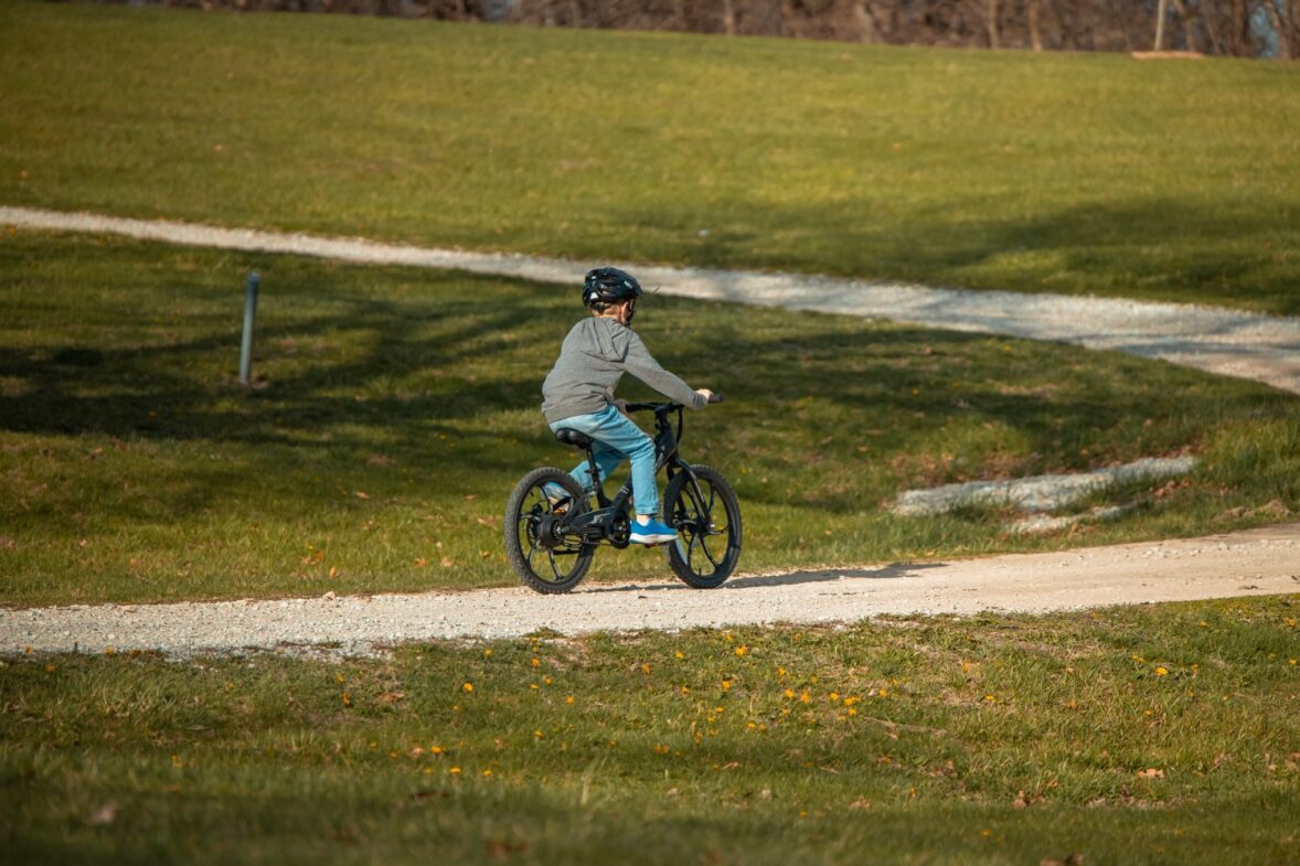 Rambo Electric Bikes Trailbreaker 3.0