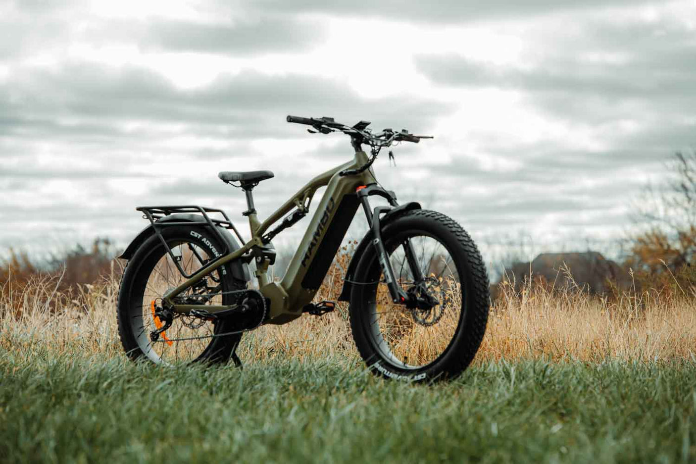 Rambo Electric Bikes dominator HD