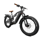 Rambo Electric Bikes dominator HD