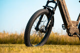 Rambo Electric Bikes Nomad 2.0